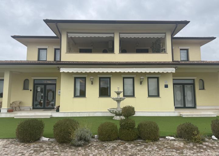 Dental Professionals 2