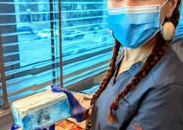 Clinica odontoiatrica Cekić 1